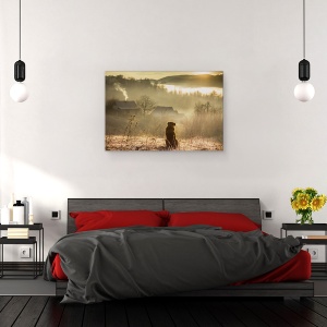 Tablou canvas - Conexiune Buna, Rasarit De Soare, Aur, Caine, Calm, Pet, 40 x 60 cm - Img 3