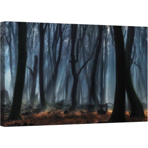 Tablou canvas - Copaci Dansand, Padure, Padure de Fag, Ceata, Lumina Soarelui, Dansand, Intunecos, 50 x 80 cm
