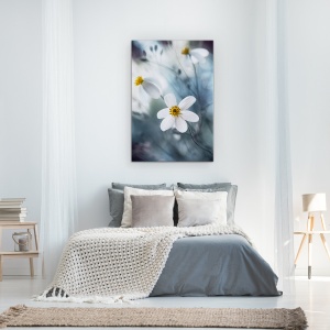 Tablou Canvas - Cosmosul, Macro, Vara, Cosmos, Delicat, Delicate, 60 x 90 cm - Img 3