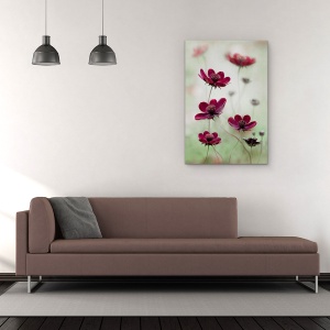 Tablou Canvas - Cosmosul Se Inalte, Cosmos, Maroon, Burgundy, Red, Cambs, 60 x 90 cm - Img 2