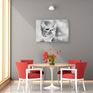 Tablou canvas - Curios, Pisica, Floare, Pet, Dragut, 60 x 90 cm - Img 4