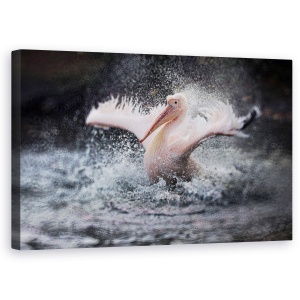 Tablou canvas - Distractie La Scaldat, Aripi, Picaturi De Apa, 50 x 80 cm