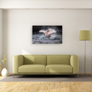 Tablou canvas - Distractie La Scaldat, Aripi, Picaturi De Apa, 50 x 80 cm - Img 2
