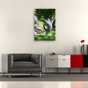 Tablou canvas - Domnisoara, Pisica, Animal, Danemarca, Fluture, Prinde, 60 x 90 cm - Img 2