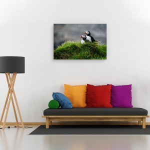 Tablou canvas - Dovlecel, Natura, Animal, Pasare, Cuplu, 60 x 90 cm - Img 2