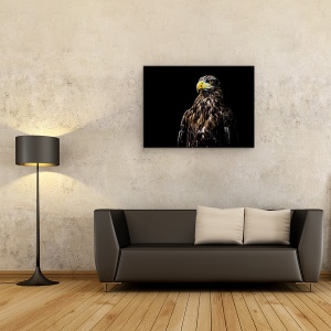 Tablou canvas - Ego, Vultur, Pasare, Animal, Ochi, Puternic, 75 x 100 cm - Img 2