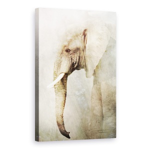 Tablou canvas - Elefant, Animale, 40 x 60 cm