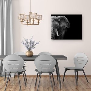 Tablou canvas - Elefant, Animale, Africa, Alb-Negru, Intuneric, 60 x 75 cm - Img 4
