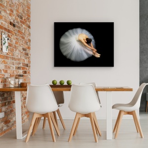 Tablou Canvas - Eleganta, Balerina, 50 x 70 cm - Img 4