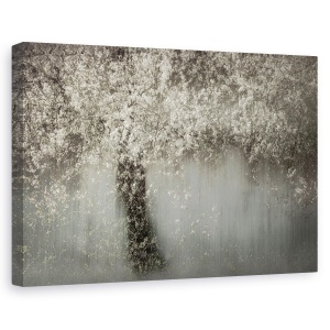 Tablou canvas - Floare Alba, Primavara, Inflorit, Alb, 60 x 90 cm