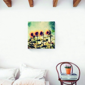 Tablou decorativ canvas floarea-soarelui în câmp 60x60 cm