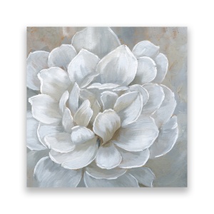 Tablou Canvas - Floral, Bujori, Alb, 60 x 60 cm