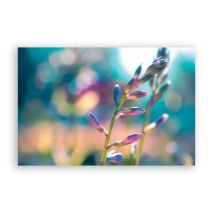 Tablou Canvas - Floral, Flori, Mugur, 80 x 120 cm