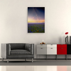 Tablou canvas - Flori de Noapte, Flori, Cer, Galaxie, Joaca, Calea Lactee, Apus, 60 x 90 cm - Img 2
