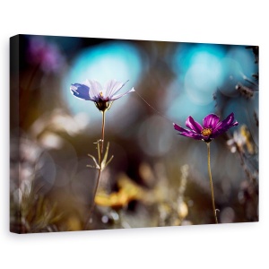 Tablou canvas - Flori mov, Flori, Violet, Cuplu, Pereche, 60 x 90 cm