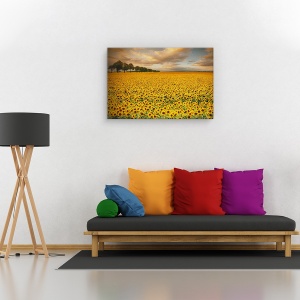 Tablou canvas - Floria-soarelui, Peisaj, 80 x 120 cm - Img 2