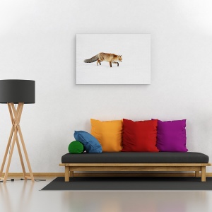 Tablou canvas - Foxy, Zapada, Iarna, Italia, Vulpe Rosie, 40 x 60 cm - Img 2