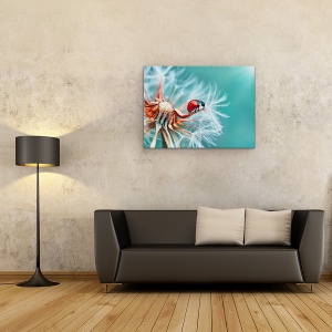 Tablou Canvas - Freedoom, Buburuza, Smoc Pufos, Macro, Papadie, Floare, 50 x 70 cm - Img 2