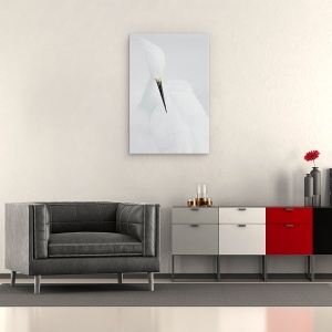 Tablou canvas - Frumusete Alba, Animal, Salbatic, Salbatic, Egreta, Pasare, 40 x 60 cm - Img 2
