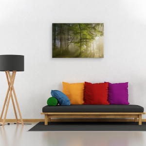 Tablou canvas - Frumusetea Diminetii, Padure, Lumina, Copaci, Zori De Zi, 60 x 90 cm - Img 2