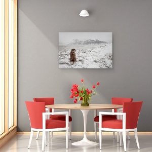 Tablou canvas - Furtuna De Zapada, Islanda, Caine, Animal, Singur, Munte, 60 x 90 cm - Img 4