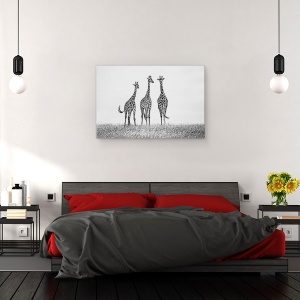 Tablou canvas - Girafe In Campiile Mara, Africa, Salbatic, 80 x 120 cm - Img 3