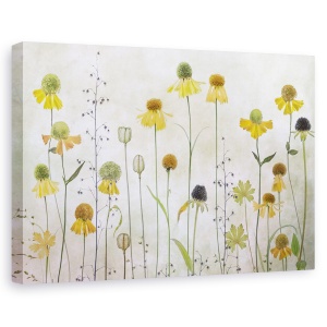 Tablou canvas - Helenium, Natura moarta, Botanica, Galben, Textura, 60 x 90 cm