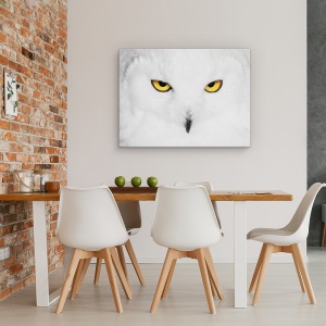 Tablou canvas - Hipnoza, Natura, Salbatic, Animale, Pasari, Pene, 50 x 70 cm - Img 4