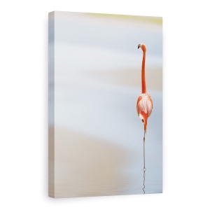 Tablou Canvas - I, Animale, Flamingo, Rosu, Pasare, Plaja, 80 x 120 cm