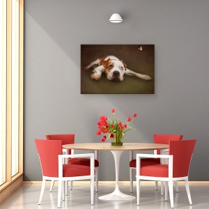 Tablou canvas - Iluzie, Caini, Caine, Portret, Animale, Studio, 80 x 120 cm - Img 3
