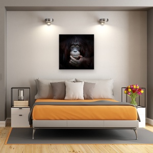 Tablou Canvas - Imaginea In Oglinda, Zambet, Maimuta, Fericit, Bucurie, 60 x 60 cm - Img 3