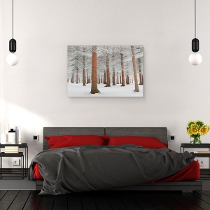 Tablou canvas - In Alb, Peisaj, Zapada, Inghet, Copac, Padure, 40 x 60 cm - Img 3