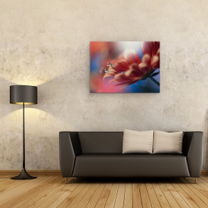 Tablou canvas - In Cel Mai Mare, Macro, Cadere, Apa, Floare, Reflectie, Perla, 75 x 100 cm - Img 2
