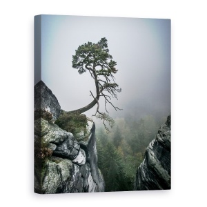 Tablou canvas - In Ciuda Greutatilor, Peisaj, Copac, Bonsai, Munte, Panta, 75 x 100 cm