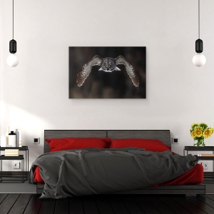 Tablou canvas - In Fata Ta, Natura, Pasari, Mare Gri, Bufnita Gri, 40 x 60 cm - Img 3