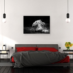 Tablou canvas - In Miscare, Salbatic, Lebada, Rata, Cioc, 40 x 60 cm - Img 3