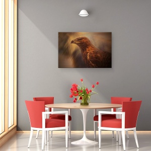 Tablou canvas - Instinct, Pasare, Animal, Vultur, Animale, 40 x 60 cm - Img 4