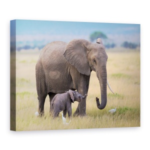 Tablou canvas - Invatare, Elefant, Africa, Copil, Familie, 50 x 70 cm