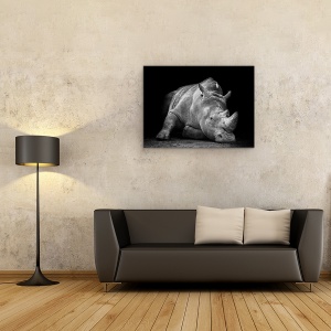 Tablou Canvas - Invins, Puternic, Extinderea, Alb-Negru, Fauna, Greu, 60 x 80 cm - Img 2