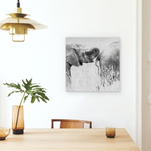 Tablou canvas - Itrunk, Elefanti, Distractie, Amuzant, Umor, 90 x 90 cm - Img 4