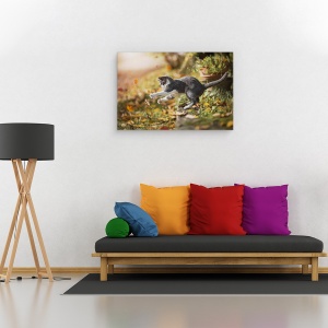 Tablou canvas - Joc De Toamna, Pisica, Pet, Animale De Companie, Acasa, 40 x 60 cm - Img 2