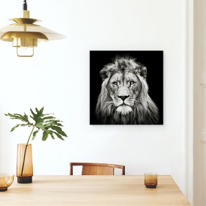 Tablou canvas - Leu Tanar, Rege, Animal, Intuneric, Alb-Negru, 90 x 90 cm - Img 4