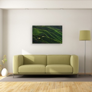 Tablou canvas - Linii, Peisaj, Verde, Tractor, Drum, Plantatie, Panta, 50 x 80 cm - Img 2
