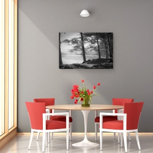 Tablou canvas - Loch An Eilein, Peisaj, Lac, Copac, Alb-Negru, Radacini, 60 x 90 cm - Img 4
