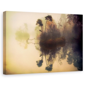 Tablou canvas - Locul Meu, Fens, Oisterwijk, Pasare, Stare De Spirit, Toamna, 60 x 90 cm