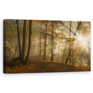 Tablou canvas - Lumina Padurii, Peisaj, Panorama, Soare, Raze, 50 x 100 cm