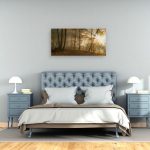 Tablou canvas - Lumina Padurii, Peisaj, Panorama, Soare, Raze, 50 x 100 cm - Img 3