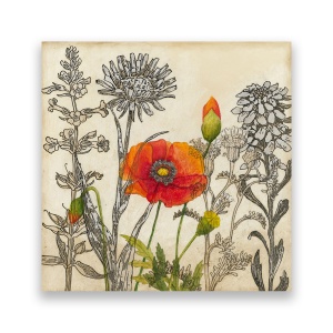 Tablou Canvas - Mac Rosu, Papadii, Floral, 60 x 60 cm