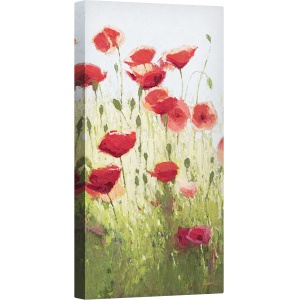 Tablou canvas - Maci de munte I, 50 x 100 cm