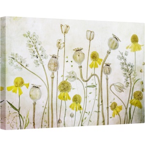 Tablou canvas - Maci si Heleniu, Flori de Maci, Heleniu, Seminte, Vara, Flori, Floral, 40 x 60 cm